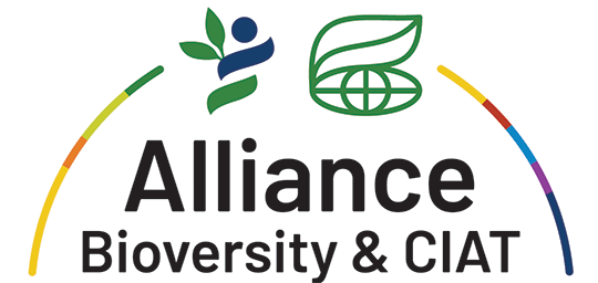 alliance-logo_2